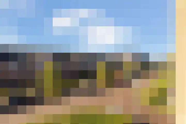 Coöperatiehoek 16 Achterveld thumbnail 11