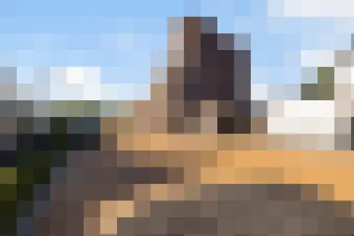 Coöperatiehoek 16 Achterveld thumbnail 26