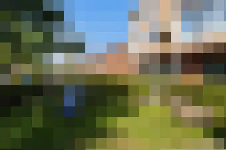 Coöperatiehoek 16 Achterveld thumbnail 28
