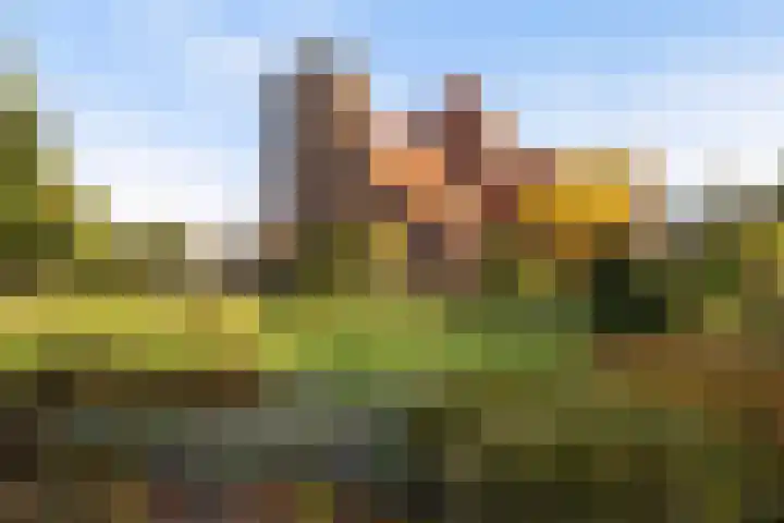 Coöperatiehoek 16 Achterveld thumbnail 30