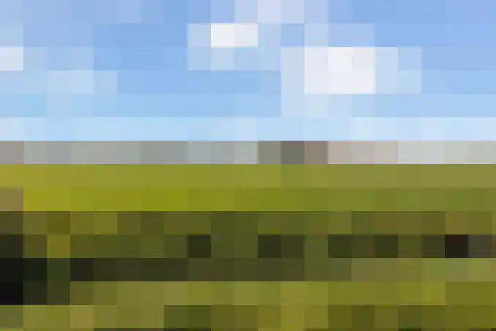 Coöperatiehoek 16 Achterveld thumbnail 31