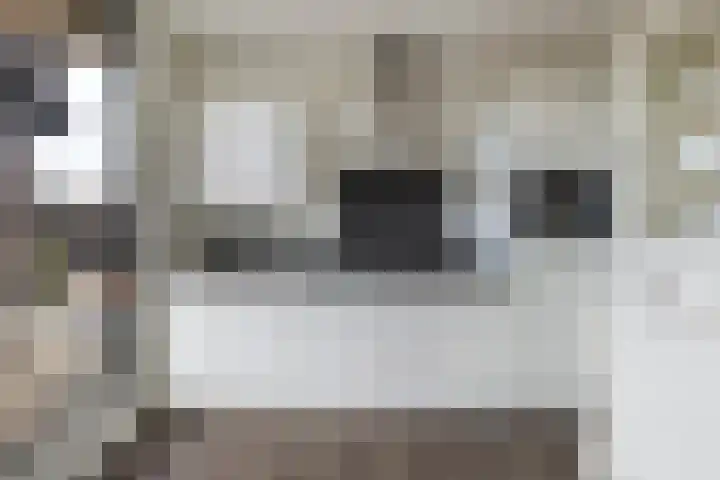 Coöperatiehoek 16 Achterveld thumbnail 5