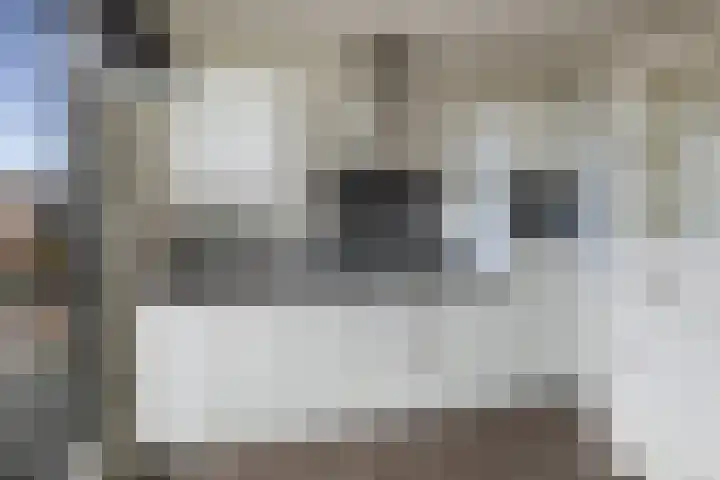 Coöperatiehoek 16 Achterveld thumbnail 6