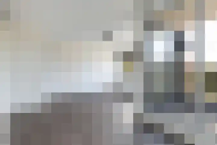 Coöperatiehoek 16 Achterveld thumbnail 8