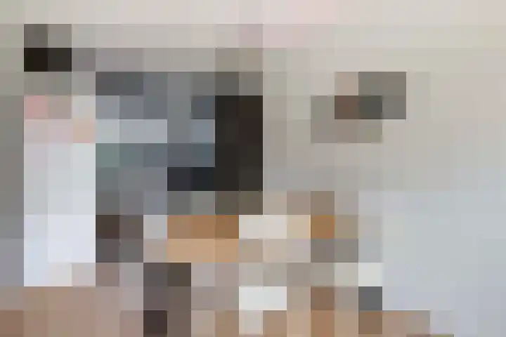 Coöperatiehof 20 Lieren thumbnail 12