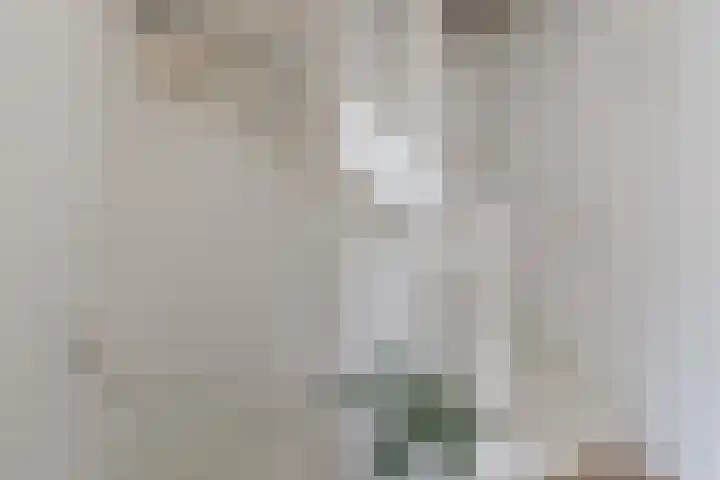 Coöperatiehof 20 Lieren thumbnail 16