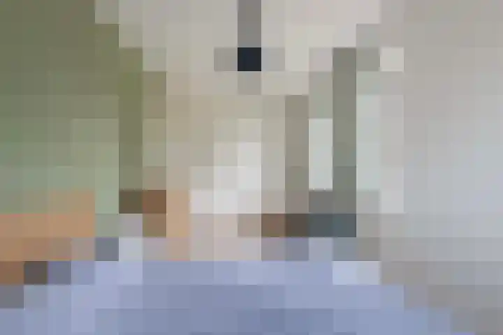 Coöperatiehof 20 Lieren thumbnail 19