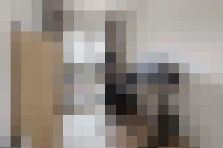Coöperatiehof 20 Lieren thumbnail 22