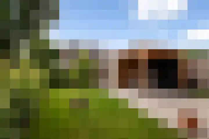 Coöperatiehof 20 Lieren thumbnail 26