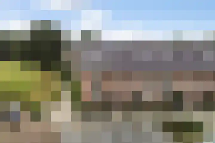 Coöperatiehof 20 Lieren thumbnail 28