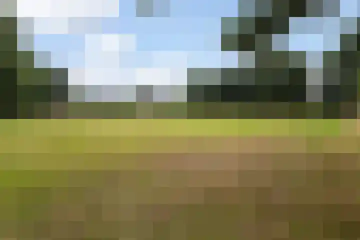Coöperatiehof 20 Lieren thumbnail 30