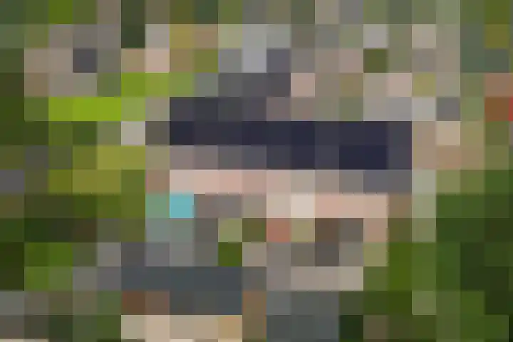 Coöperatiehof 20 Lieren thumbnail 31