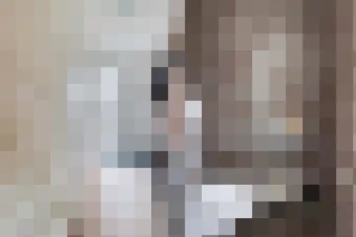 Coöperatiehof 20 Lieren thumbnail 6
