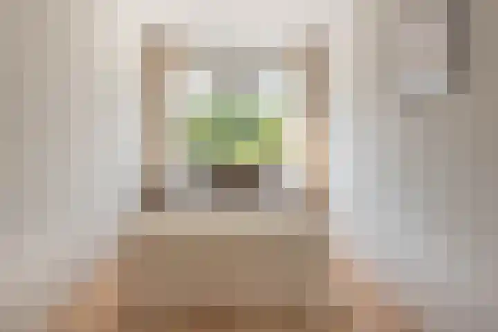 Coöperatiehof 33 1 Amsterdam thumbnail 13