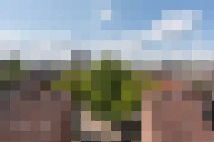 Coöperatiehof 33 1 Amsterdam thumbnail 23