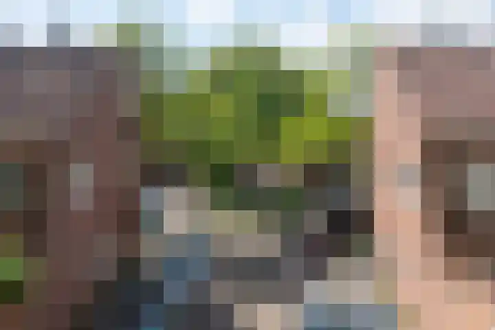 Coöperatiehof 33 1 Amsterdam thumbnail 24