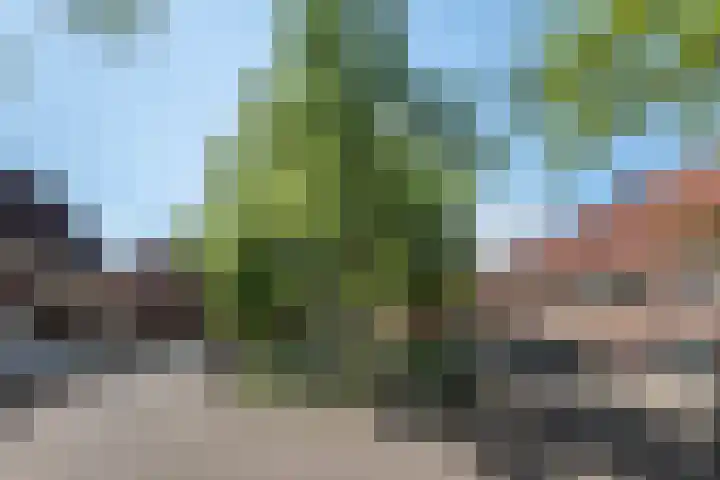 Coöperatiehof 33 1 Amsterdam thumbnail 26