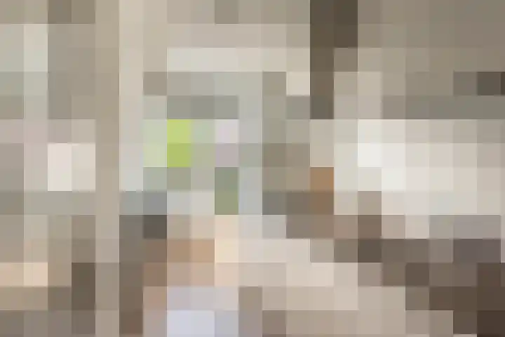 Coöperatiehof 33 1 Amsterdam thumbnail 8