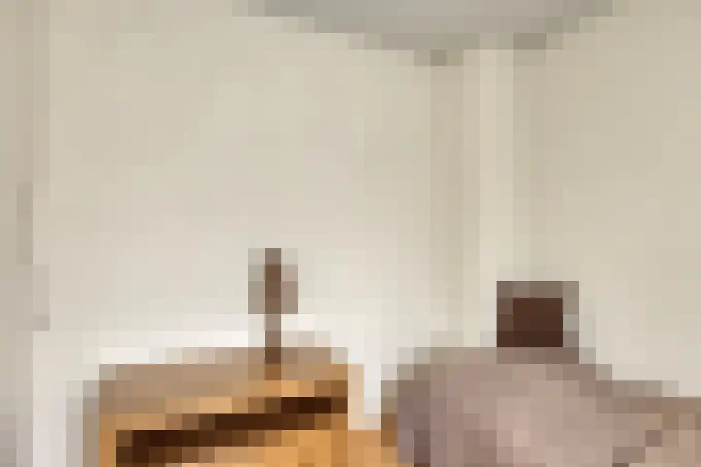 Coöperatiestraat 15 Someren thumbnail 21