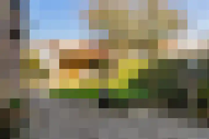 Coopmansstraat 7 Leeuwarden thumbnail 6