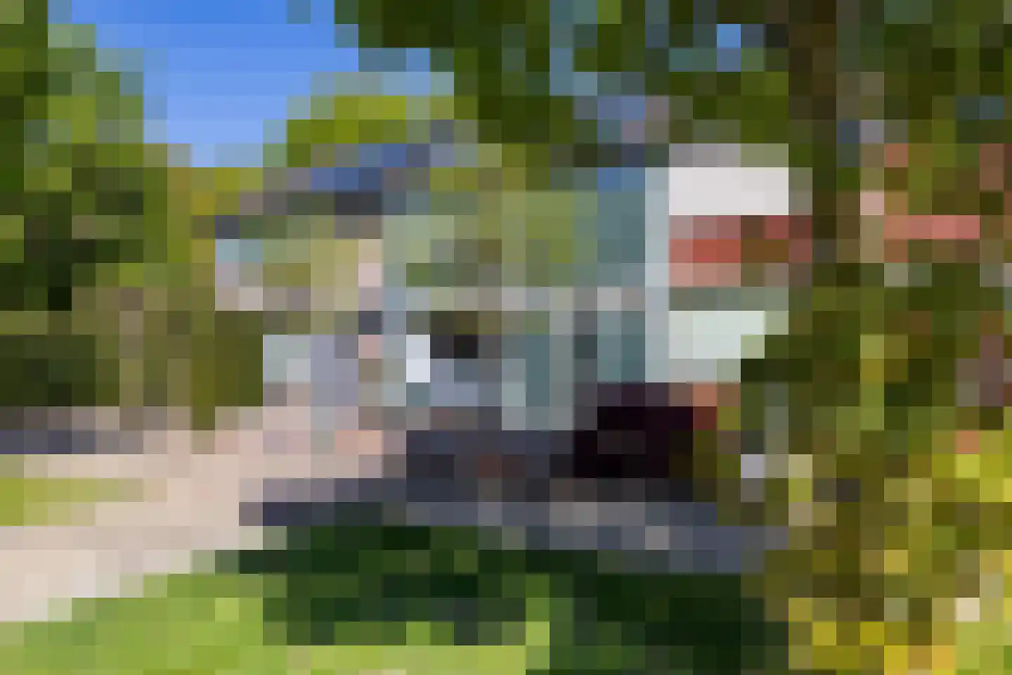 Coopsstraat 33 Doetinchem thumbnail 15