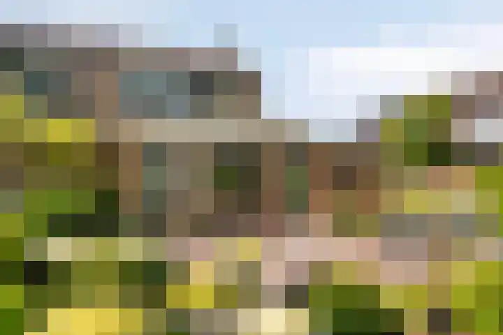 Coorndijkstraat 25 Goudswaard thumbnail 38