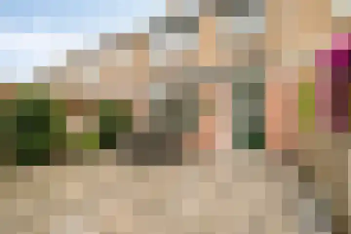 Coorndijkstraat 5 Goudswaard thumbnail 24