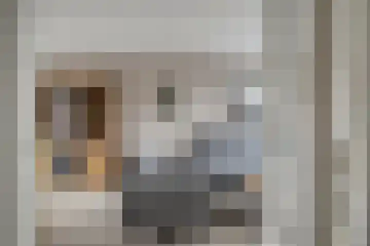 Coorndijkstraat 5 Goudswaard thumbnail 5