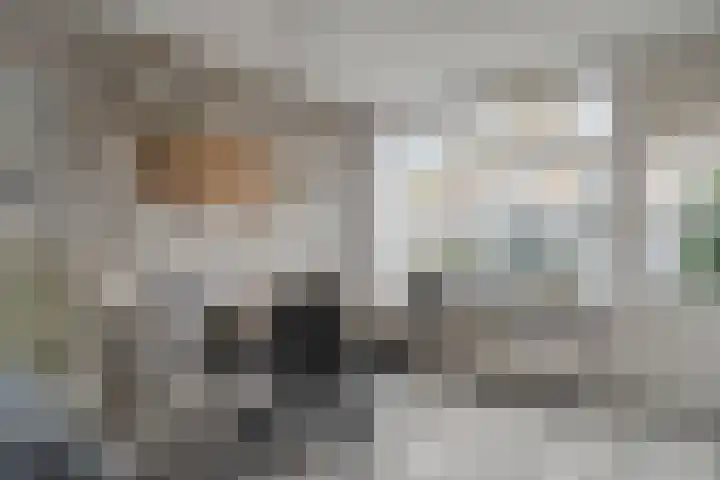 Coorndijkstraat 5 Goudswaard thumbnail 8