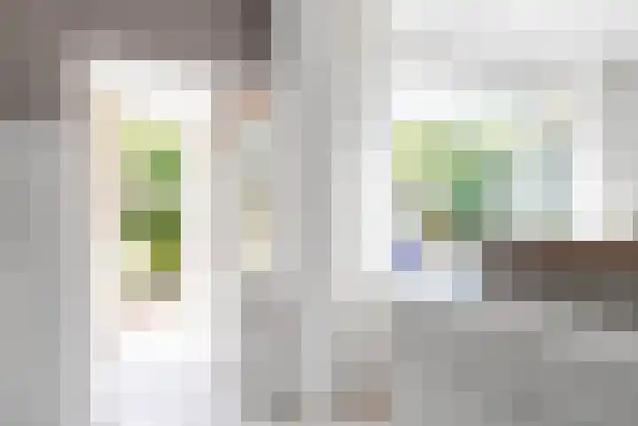 Coornhertdreef 26 Leiderdorp thumbnail 11