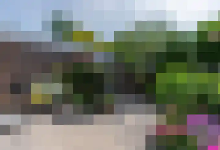 Coornhertdreef 26 Leiderdorp thumbnail 13