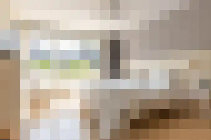 Coornhertdreef 26 Leiderdorp thumbnail 18