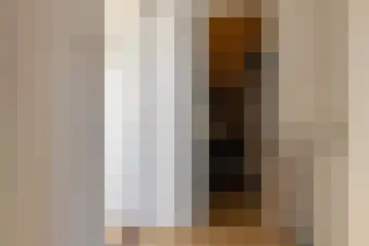 Coornhertdreef 26 Leiderdorp thumbnail 27