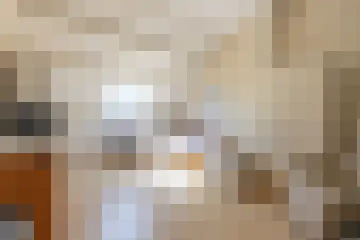 Coornhertdreef 26 Leiderdorp thumbnail 28