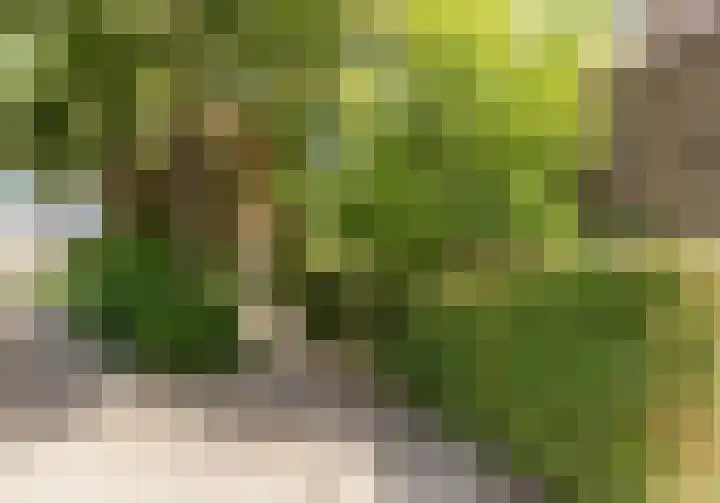 Coornhertdreef 26 Leiderdorp thumbnail 33