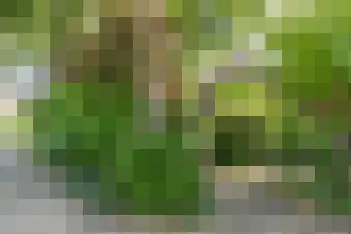 Coornhertdreef 26 Leiderdorp thumbnail 34