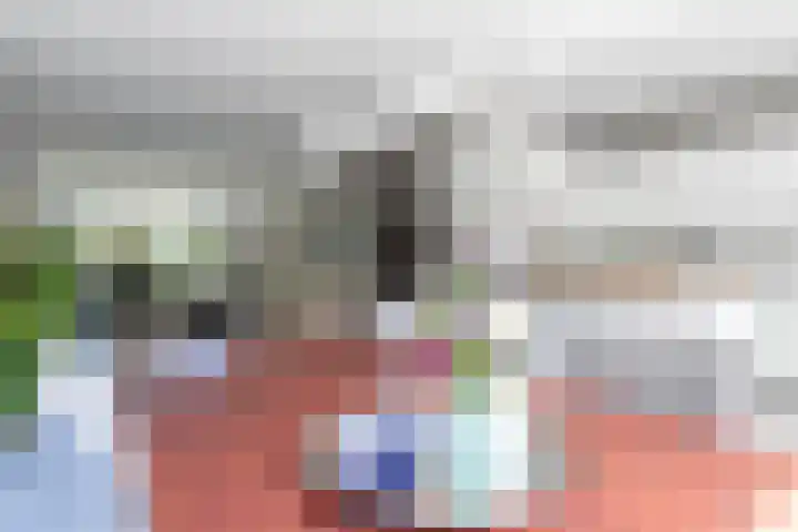 Coornhertdreef 26 Leiderdorp thumbnail 7