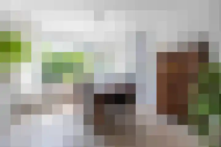 Coornhertdreef 26 Leiderdorp thumbnail 8