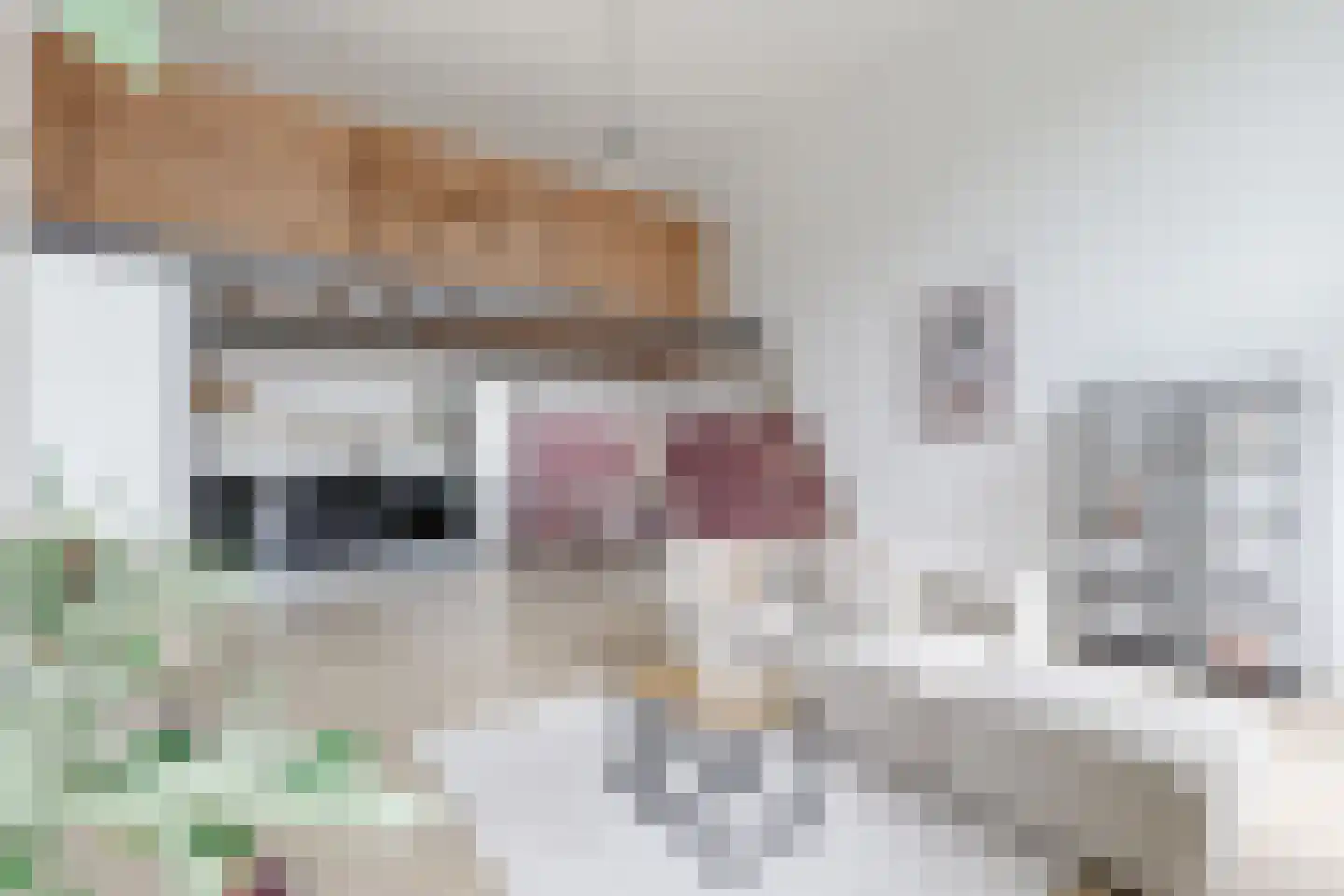 Coornhertkade 112 Alkmaar thumbnail 11