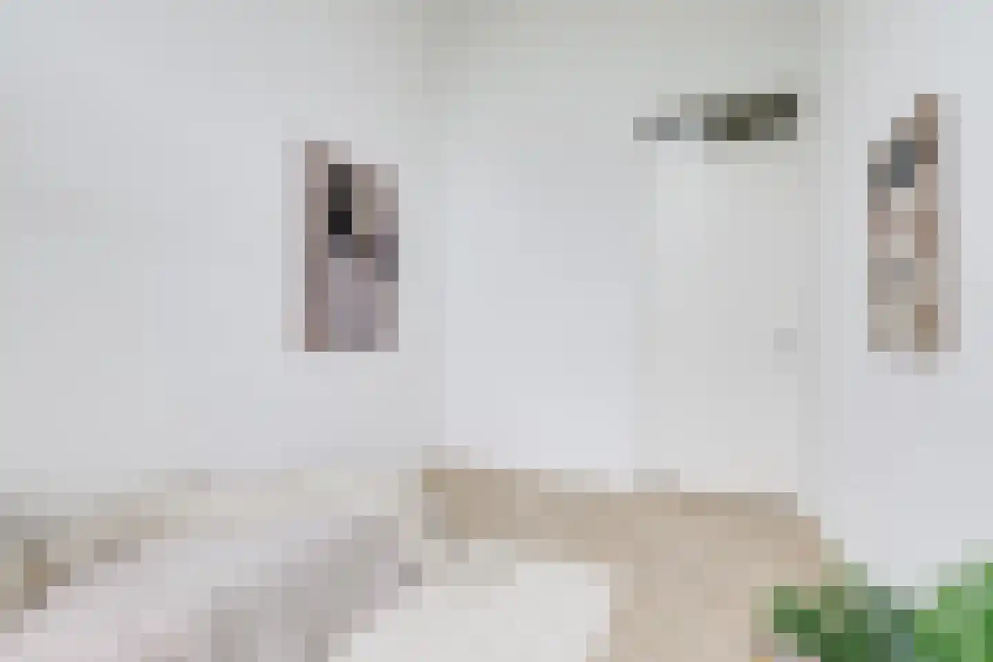Coornhertkade 112 Alkmaar thumbnail 29
