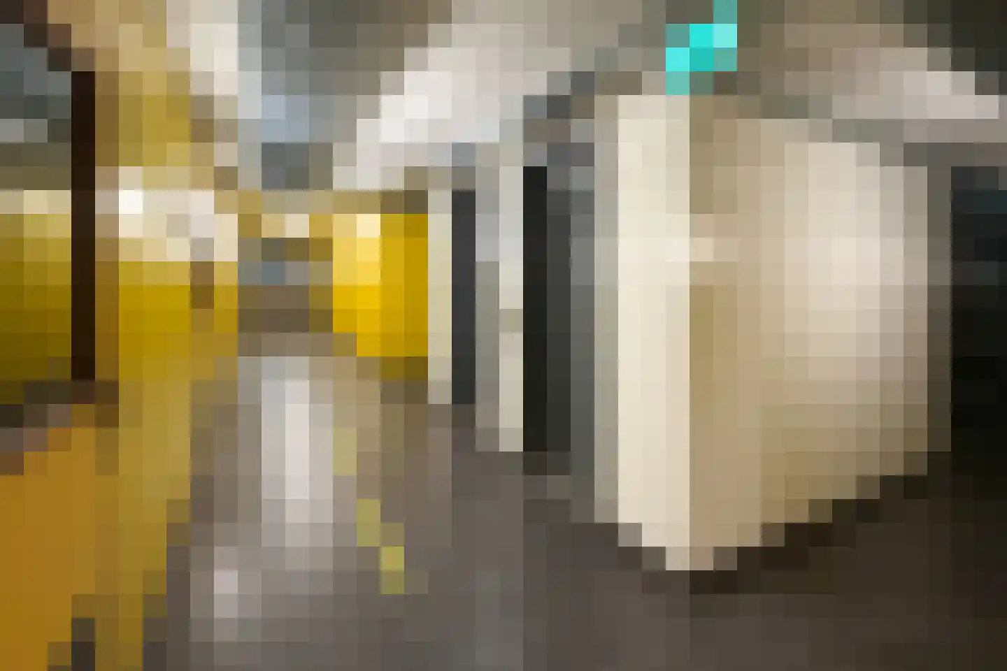 Coornhertkade 112 Alkmaar thumbnail 37