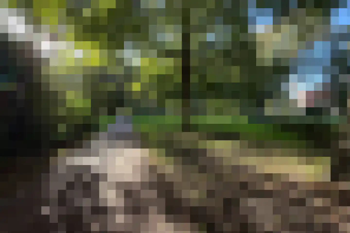 Coornhertkade 112 Alkmaar thumbnail 48