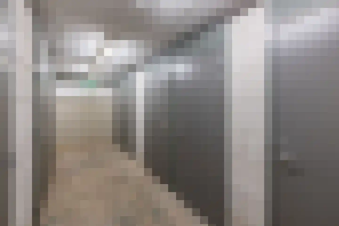 Coornhertkade 124 Alkmaar thumbnail 24