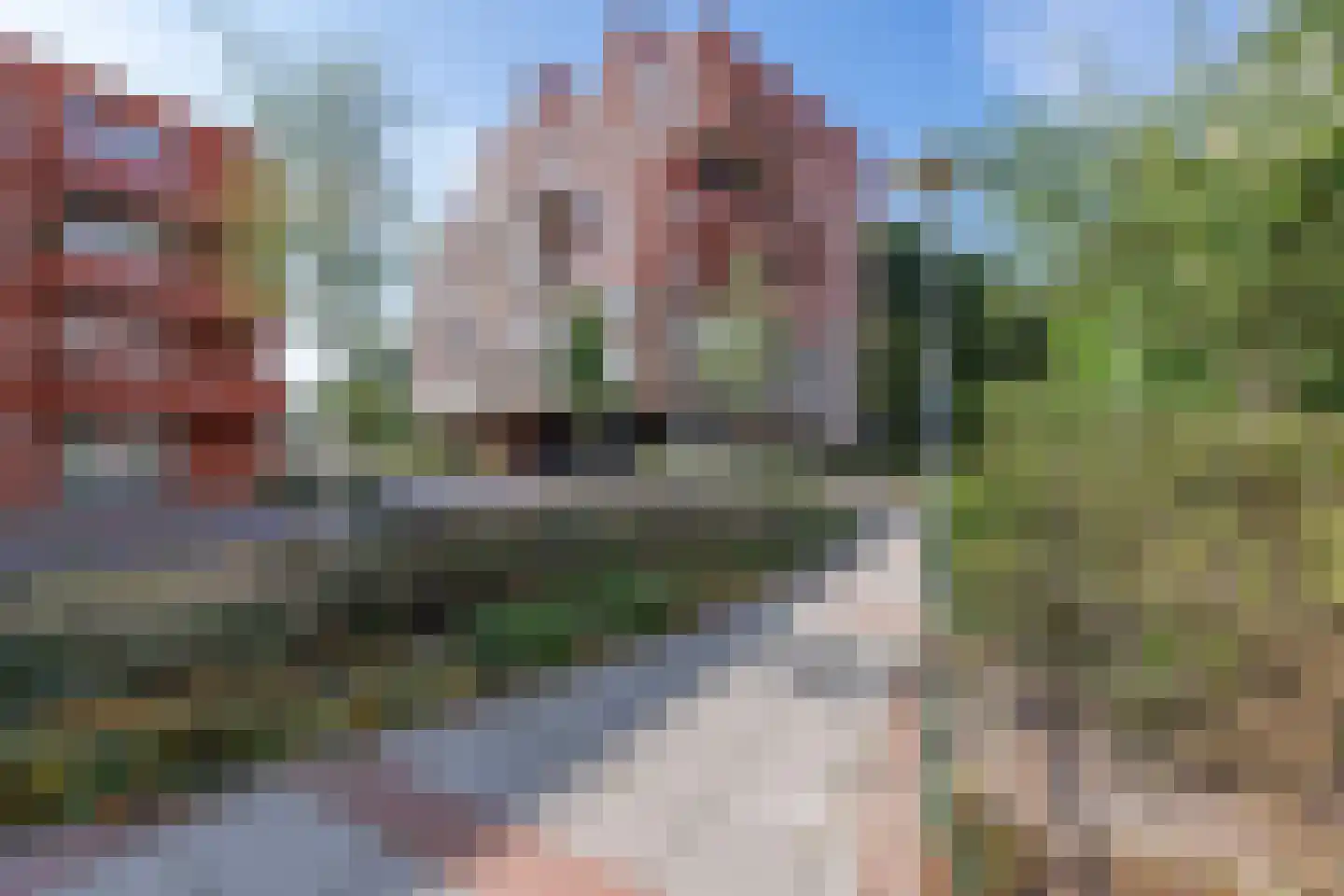 Coornhertkade 124 Alkmaar thumbnail 40