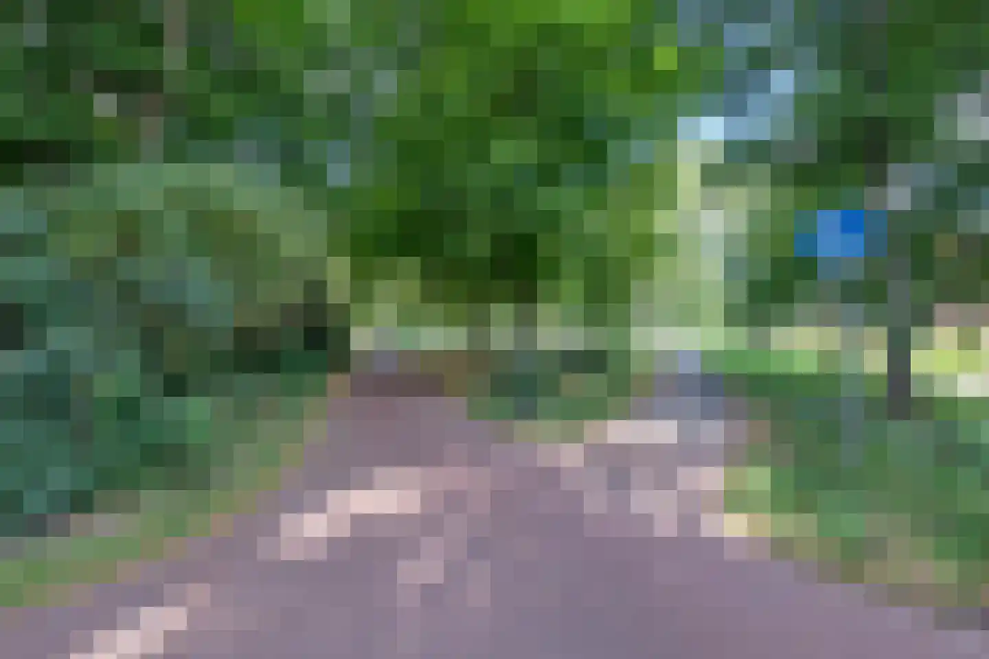 Coornhertkade 124 Alkmaar thumbnail 43