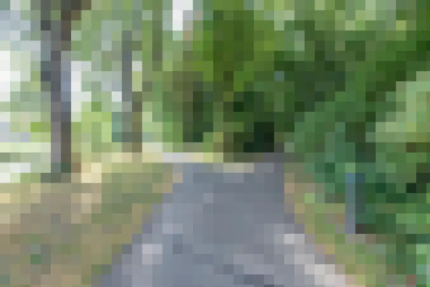 Coornhertkade 124 Alkmaar thumbnail 48