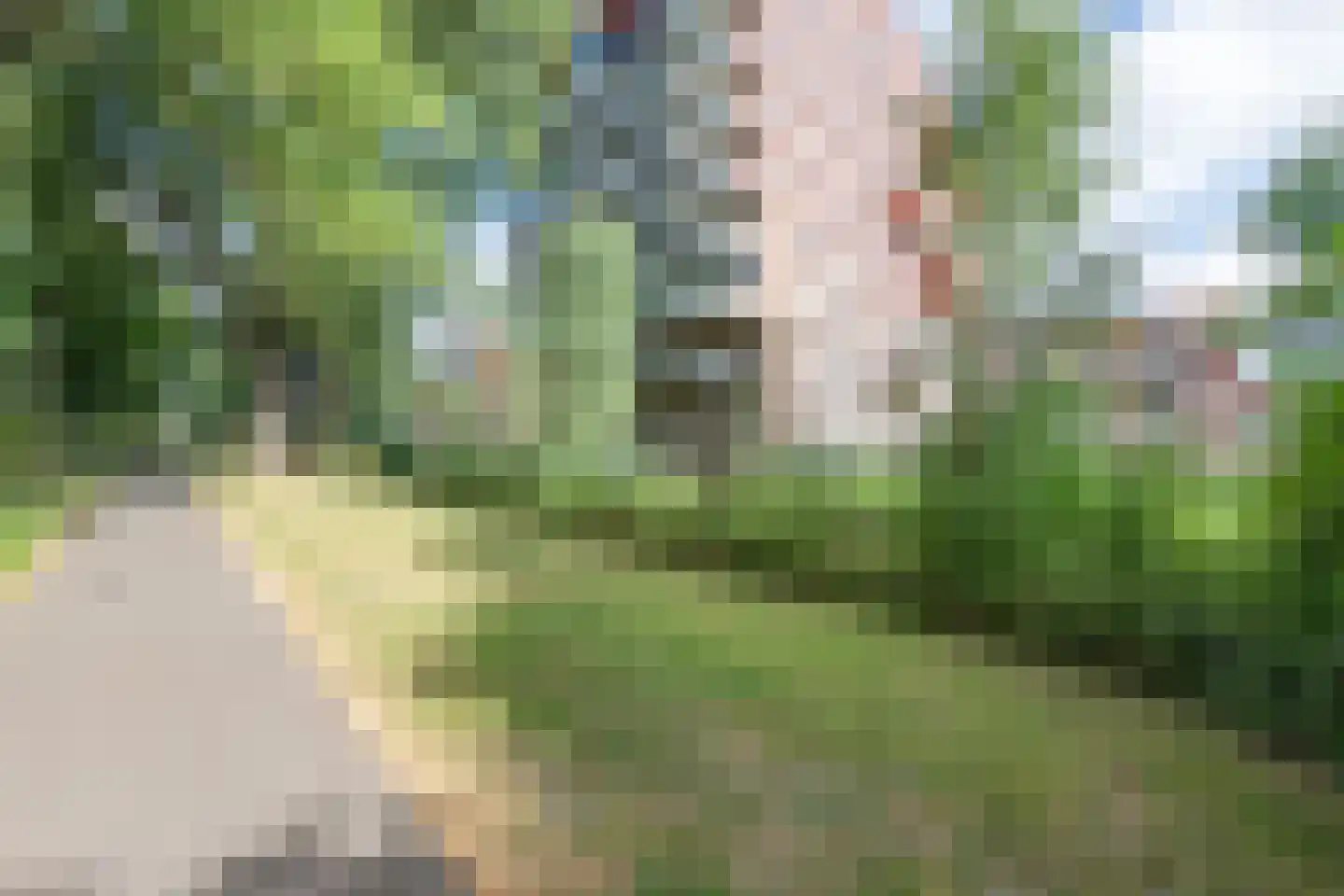 Coornhertkade 124 Alkmaar thumbnail 49