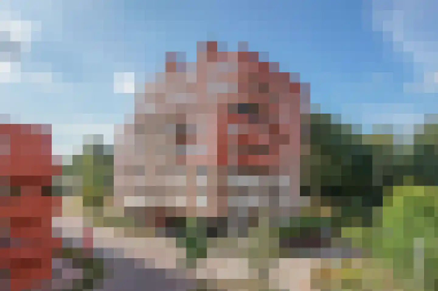 Coornhertkade 124 Alkmaar thumbnail 50
