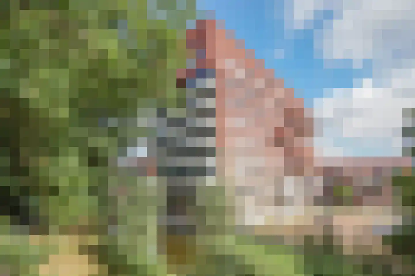 Coornhertkade 124 Alkmaar thumbnail 52