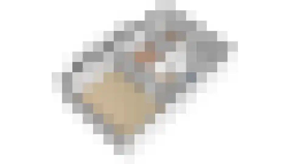 Coornhertkade 124 Alkmaar thumbnail 62